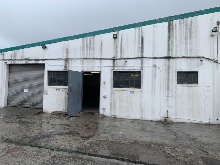 To Let commercial Property for Rent in Paarden Eiland Western Cape